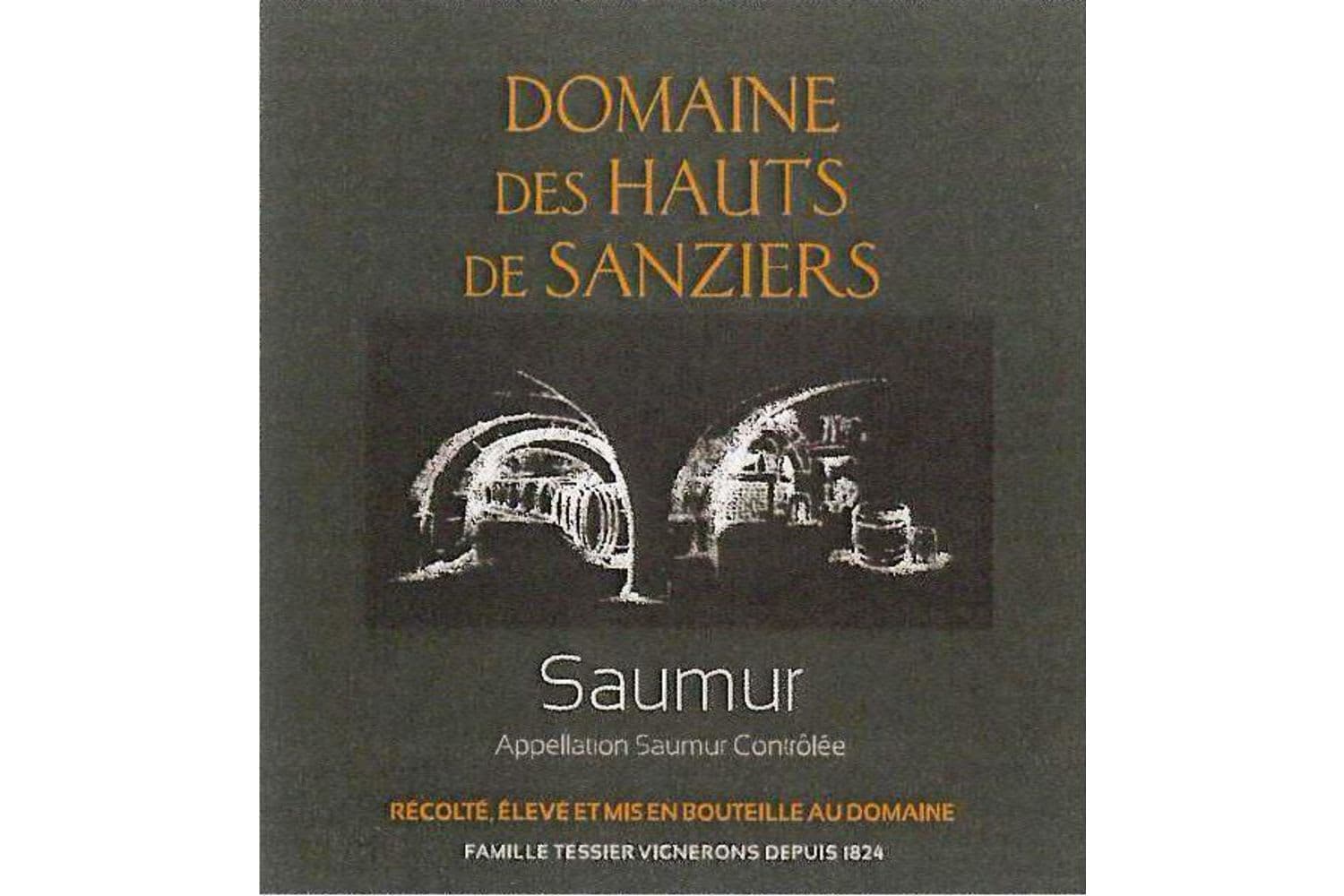 Domaine des Hauts de Sanziers Saumur Rouge 2016 750mL Bottle