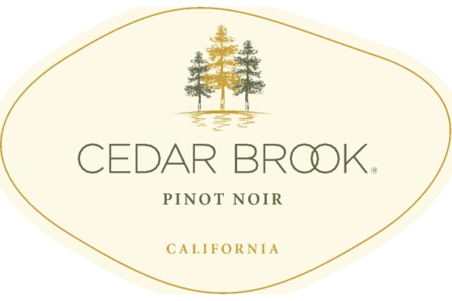 Cedar Brook Pinot Noir 2017 750mL Bottle