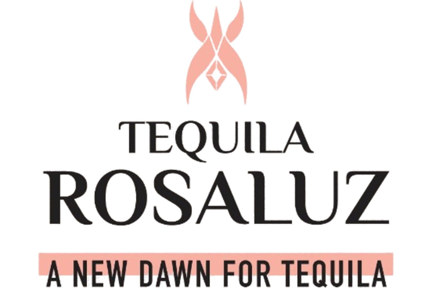 Tequila Rosaluz Anejo Tequila 750mL Bottle
