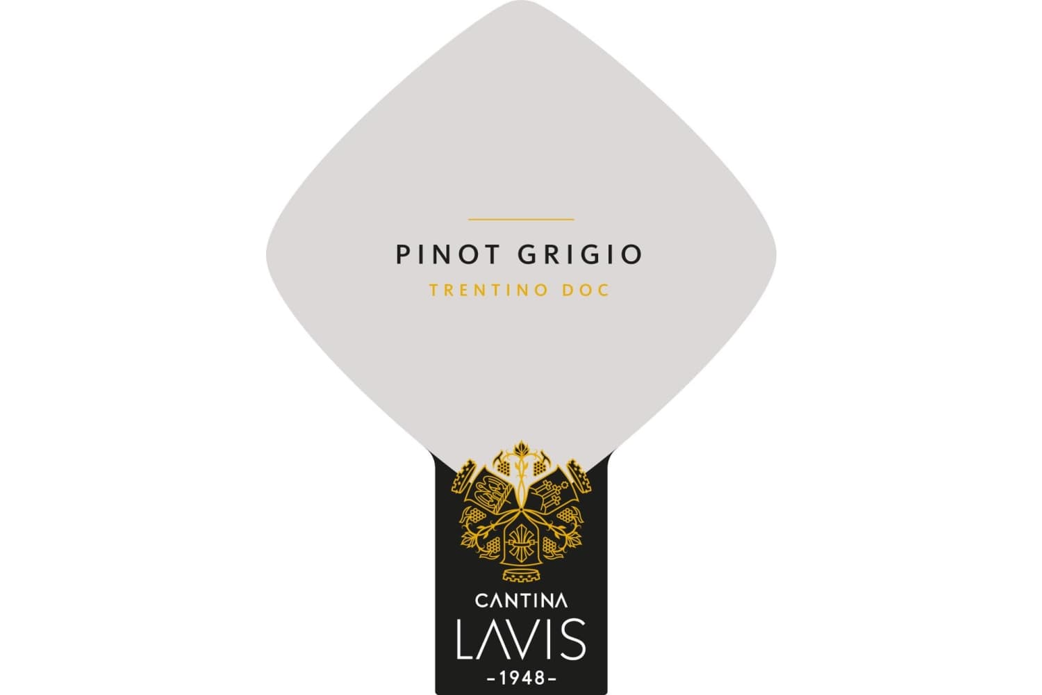 Cantina La Vis Trentino Pinot Grigio 2021 750mL Bottle