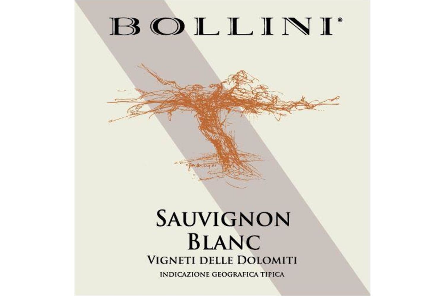 Bollini Sauvignon Blanc 2022 750mL Bottle