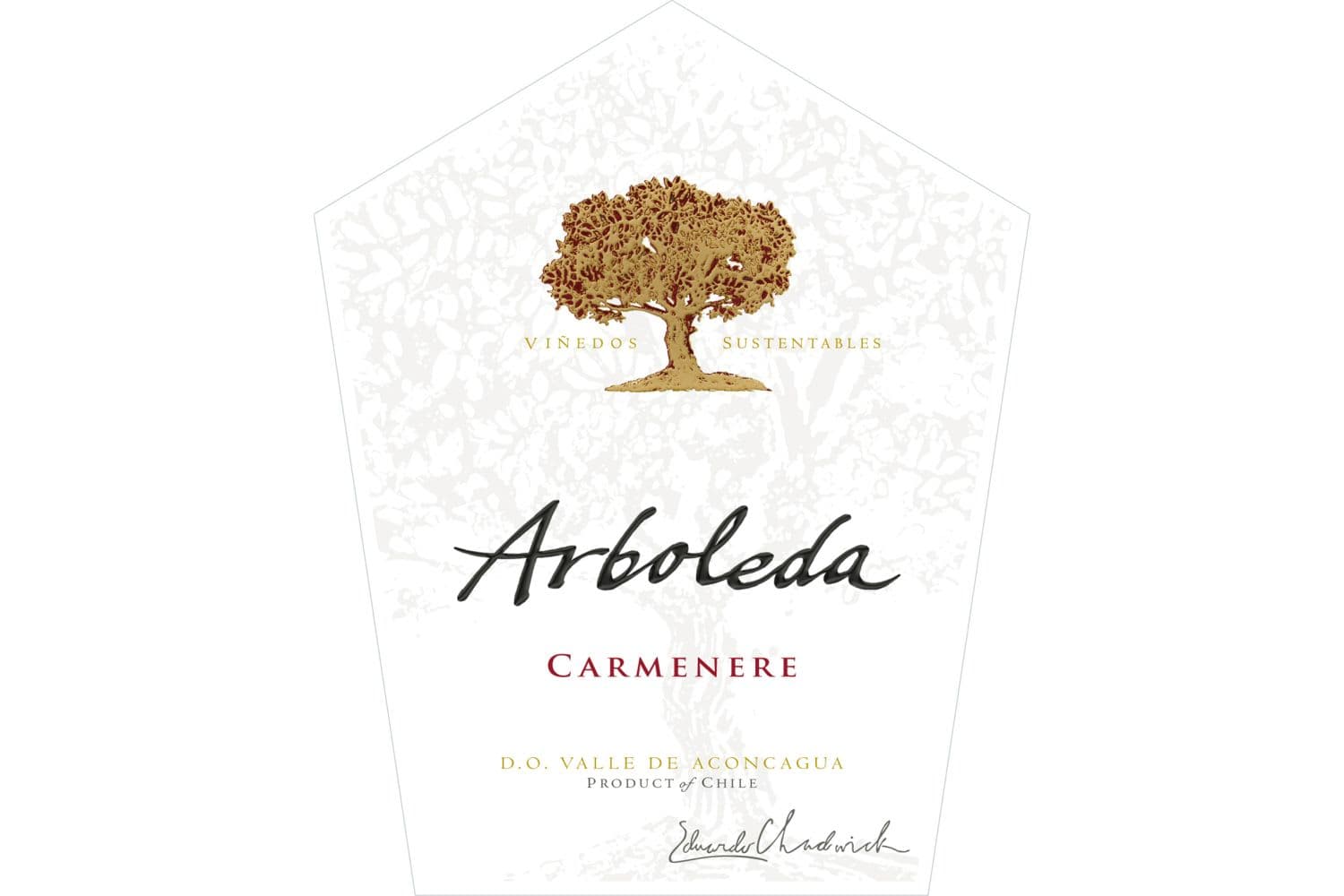 Arboleda Carmenere 2019 750mL Bottle