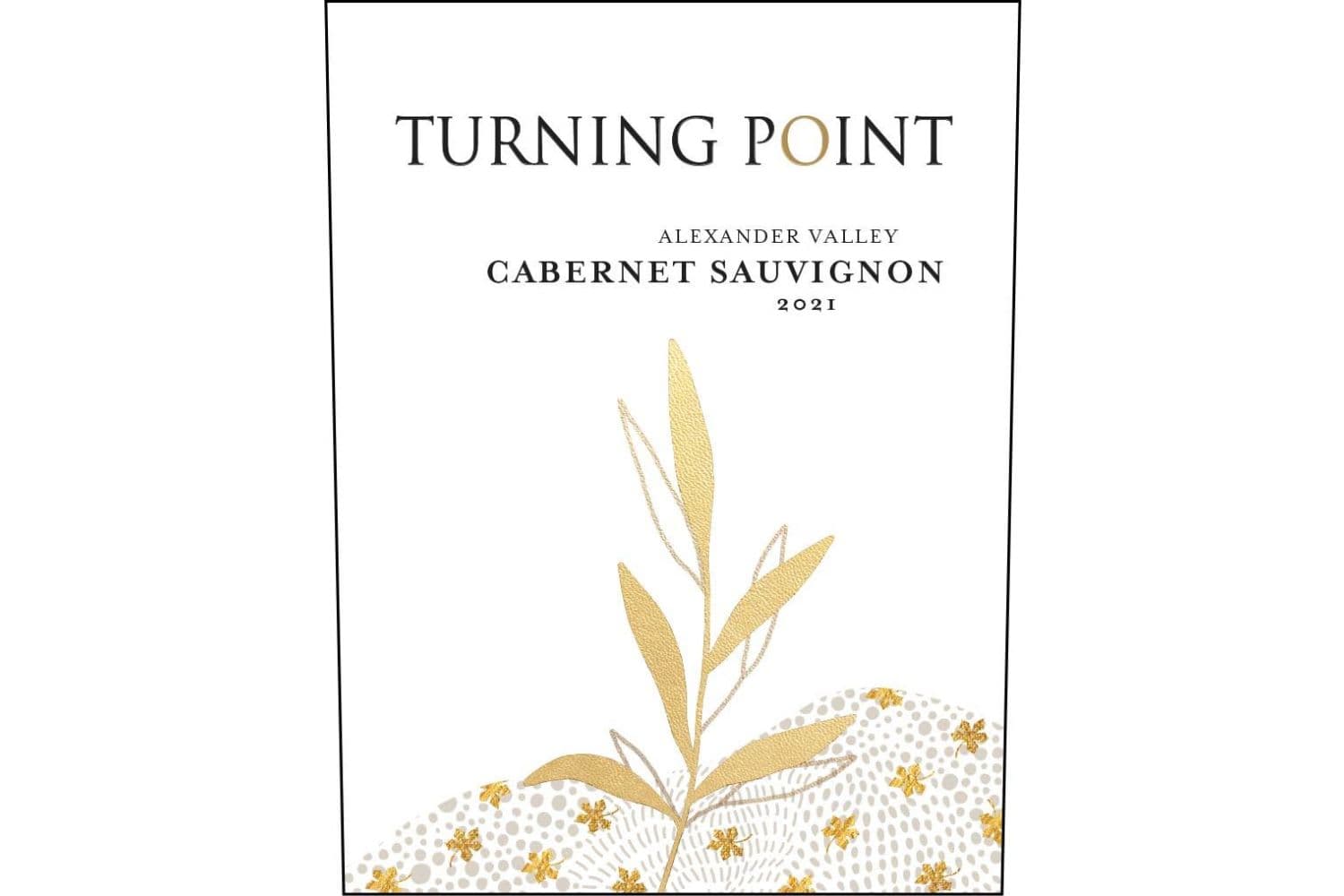 Turning Point Cabernet Sauvignon Alexander Valley 2021 750mL Bottle