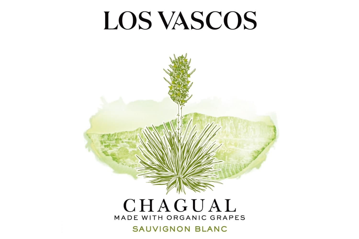 Los Vascos Chagual Sauvignon Blanc 2022 750mL Bottle