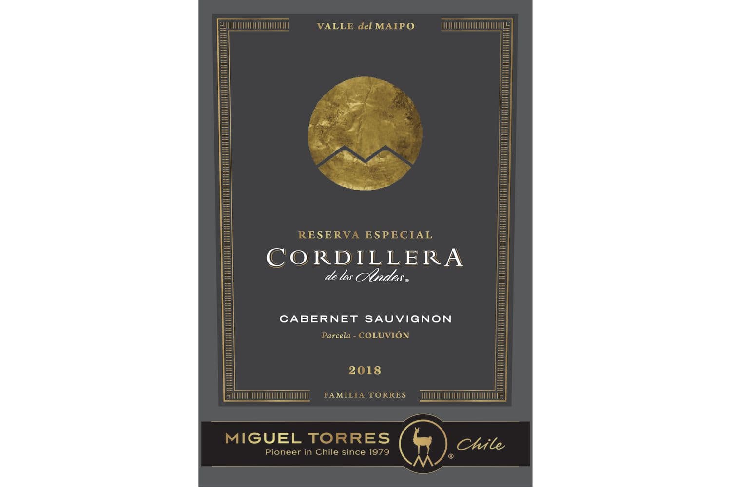 Cordillera de Los Andes Reserva Especial Cabernet Sauvignon 2019 750mL Bottle