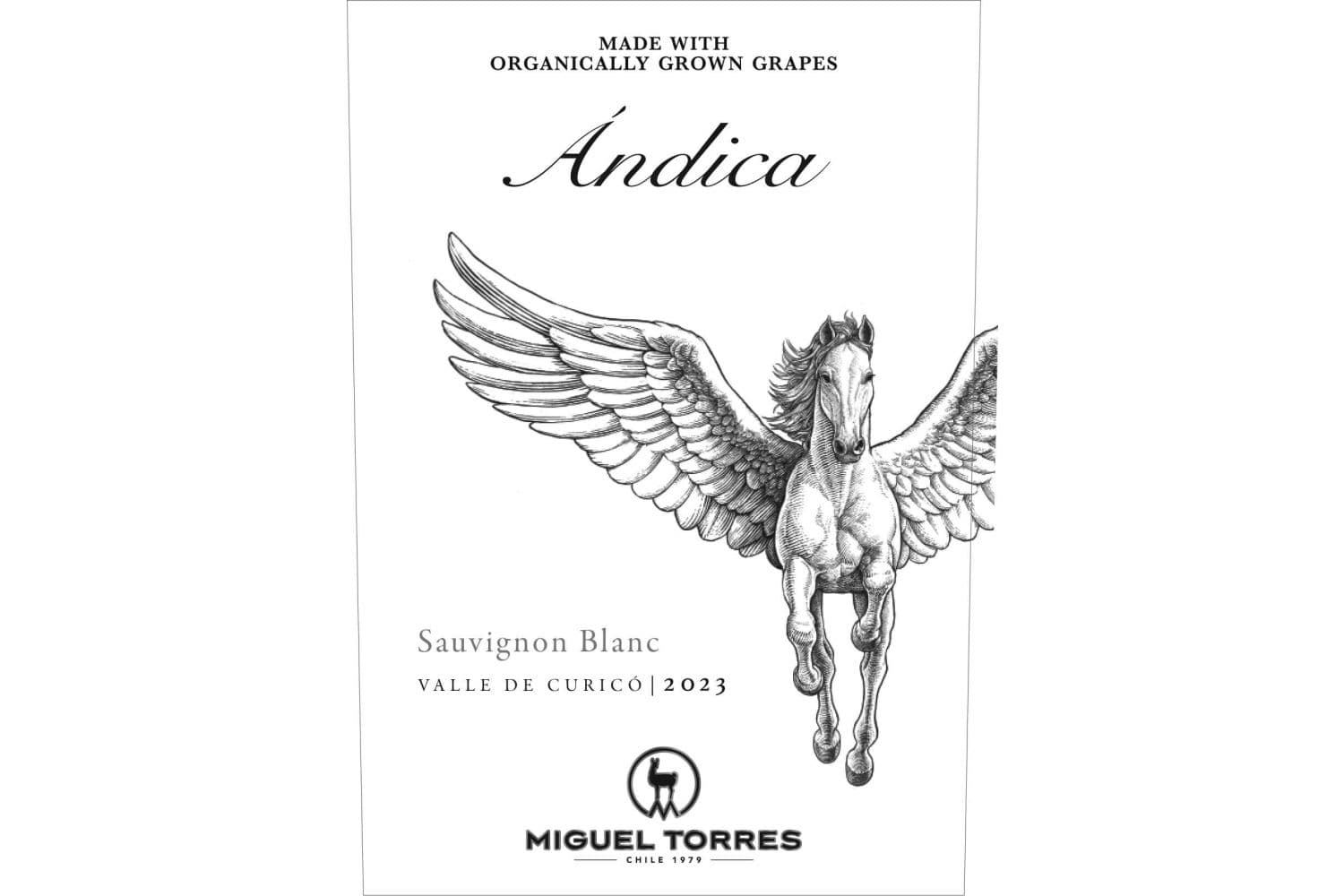 Miguel Torres Andica Sauvignon Blanc Valle del Curico 2023 750mL Bottle