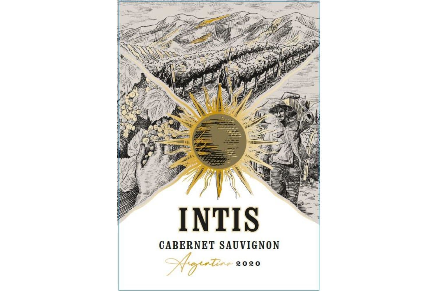 Intis Cabernet Sauvignon 2020 750mL Bottle