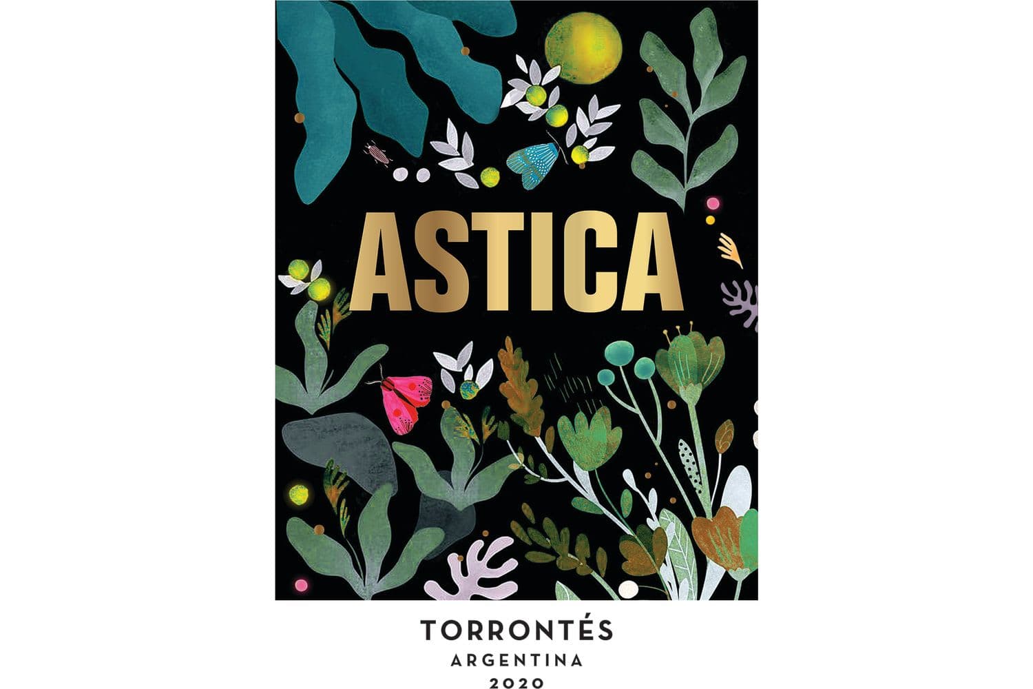 Astica Torrontes 2021 750mL Bottle