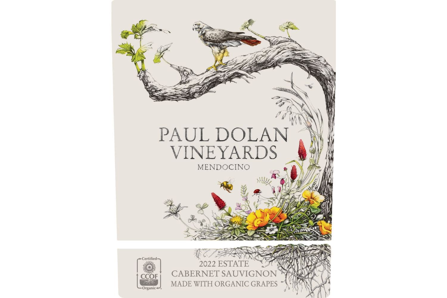 Paul Dolan Vineyards Cabernet Sauvignon Mendocino County 2022 750mL Bottle