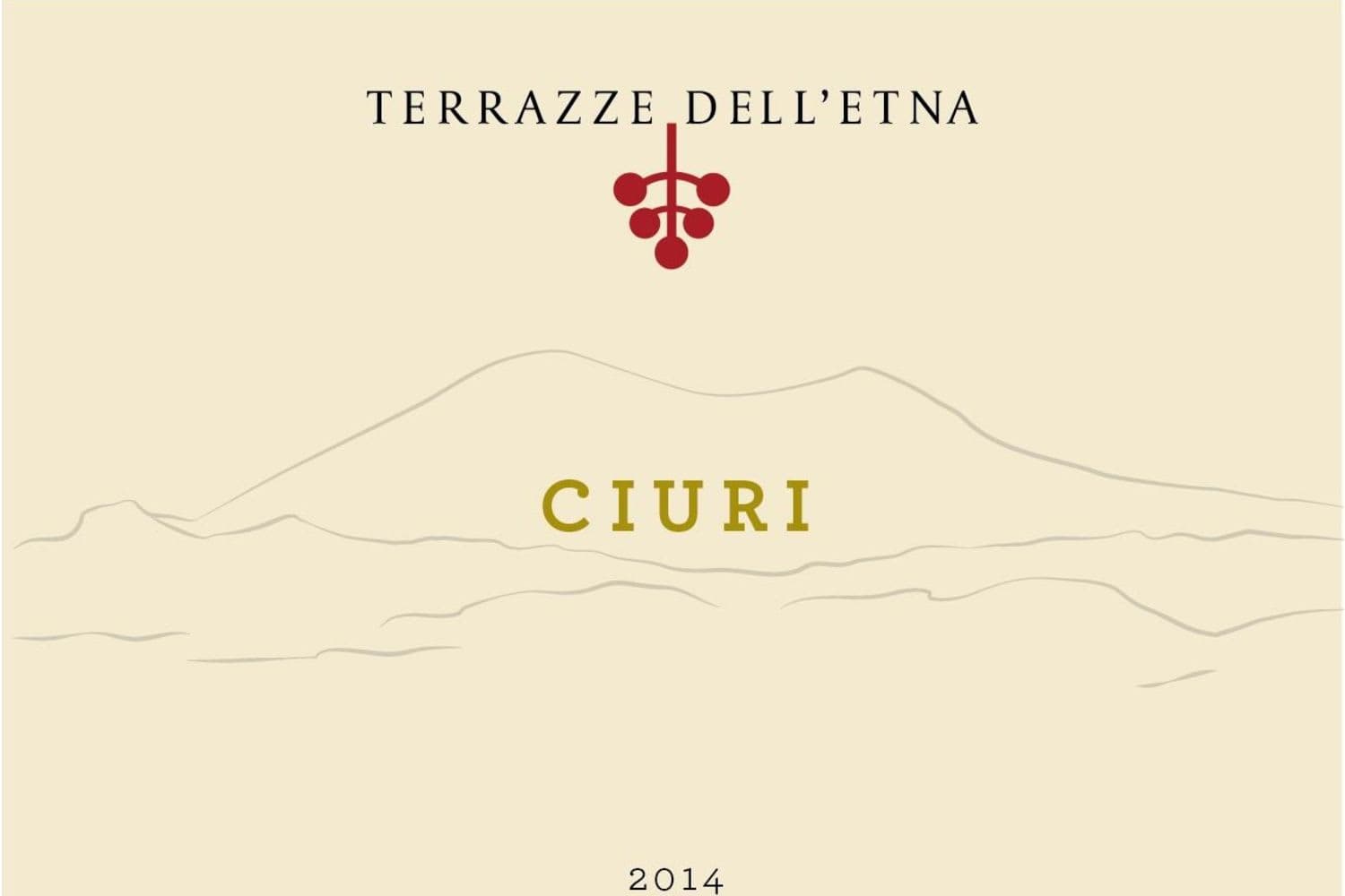 Terrazze dell'Etna Etna Ciuri Vino Bianco 2023 750mL Bottle