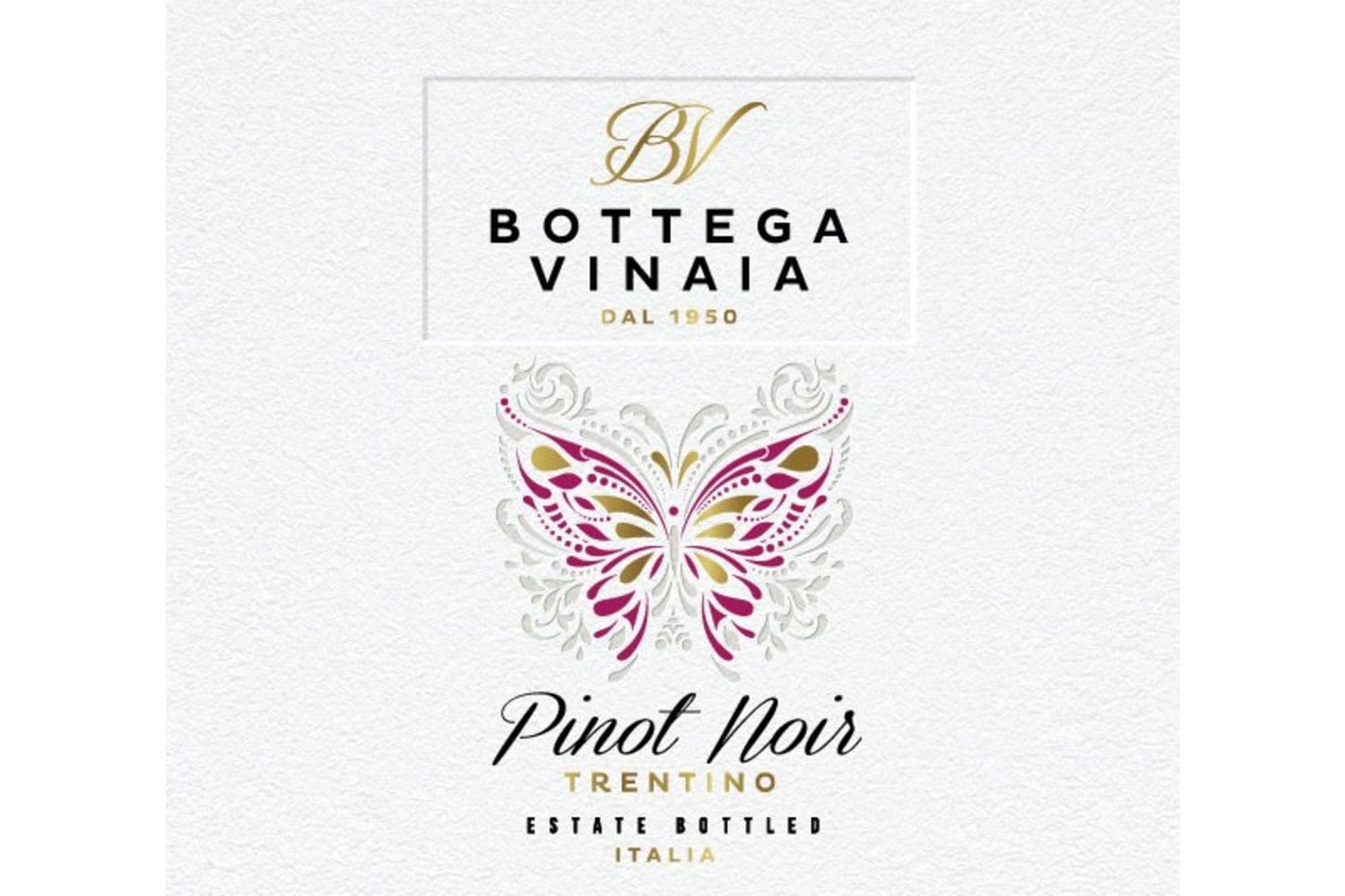 Bottega Vinaia Trentino Pinot Noir 2022 750mL Bottle
