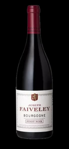 Domaine Faiveley Bourgogne Pinot Noir 2023 1.5L Bottle
