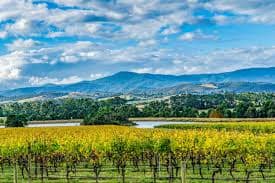 Australia wines and spirits