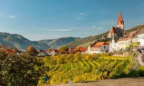 Austria wines and spirits
