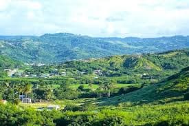 Barbados wines and spirits