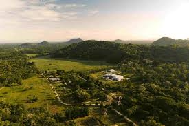 Belize wines and spirits