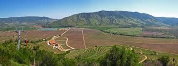 Chile wines and spirits