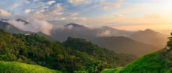 Colombia wines and spirits