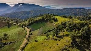 Costa Rica wines and spirits