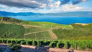 Croatia wines and spirits