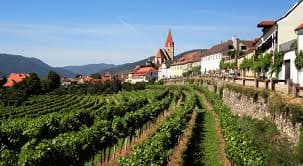 Czech Republic wines and spirits