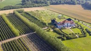 Denmark wines and spirits