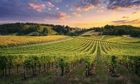 England wines and spirits