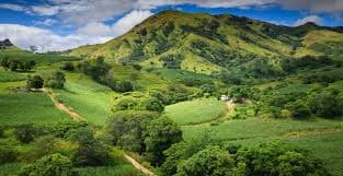 Fiji wines and spirits