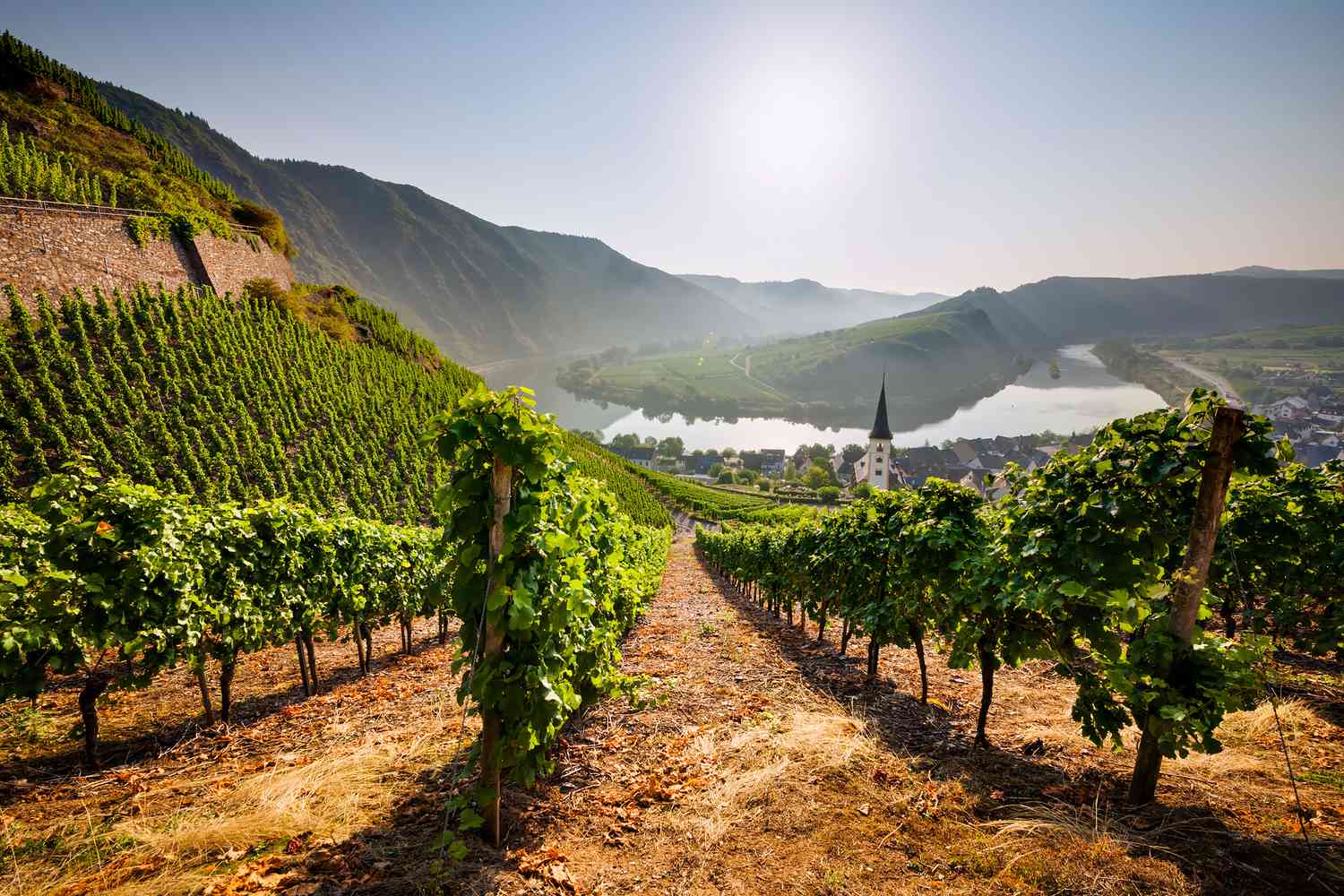 Germany wines and spirits