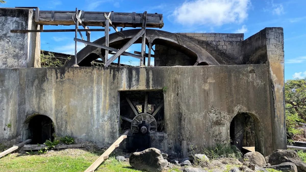 Grenada wines and spirits