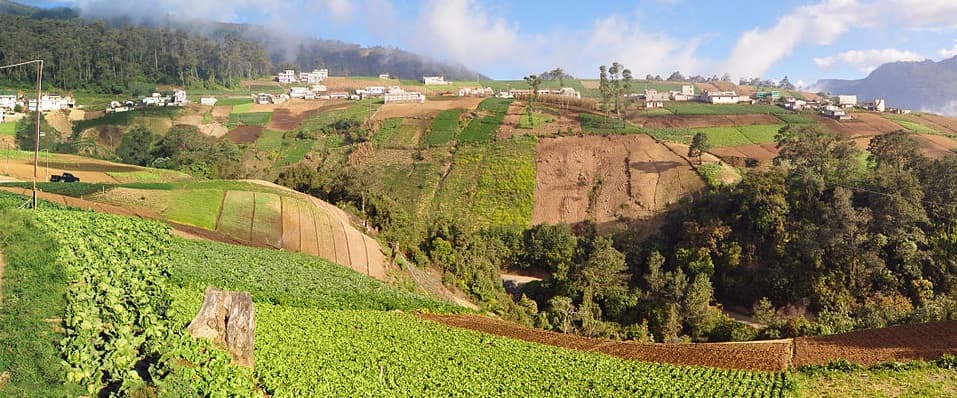 Guatemala wines and spirits