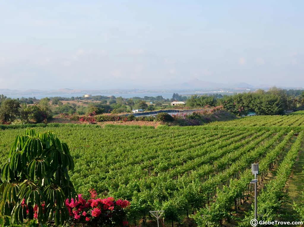 India wines and spirits