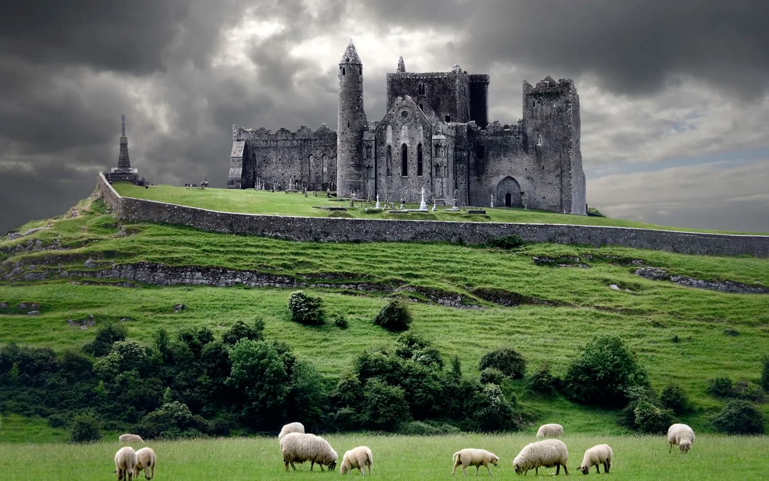 Ireland wines and spirits