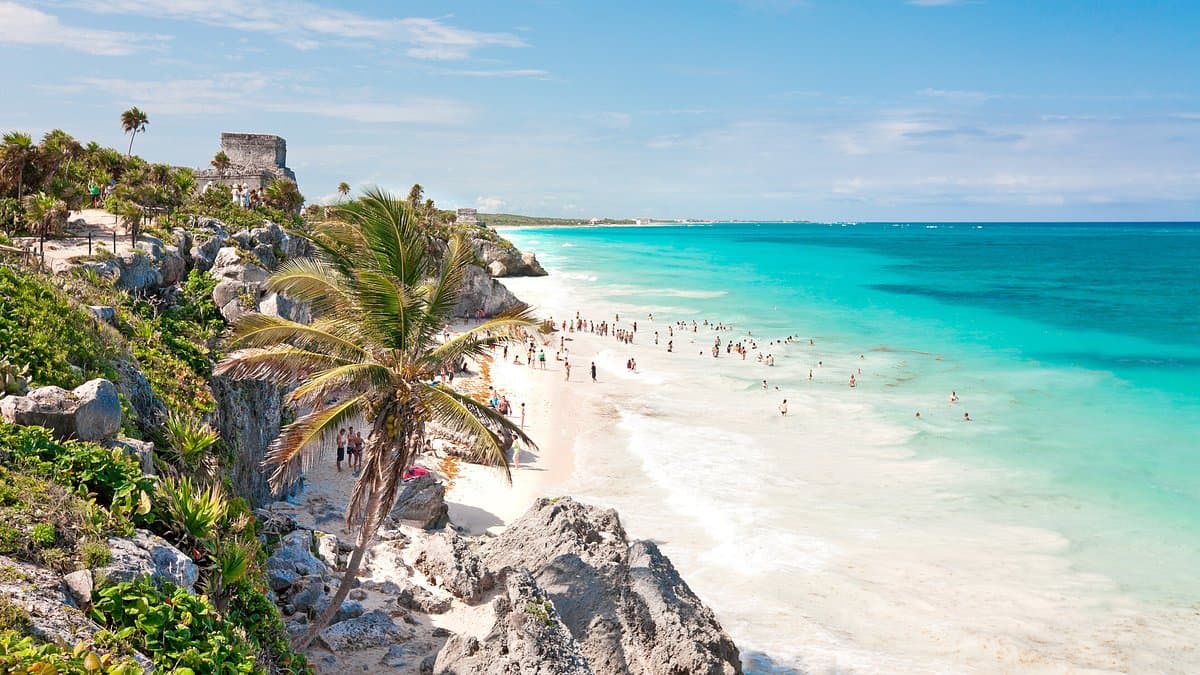 Mexico wines and spirits