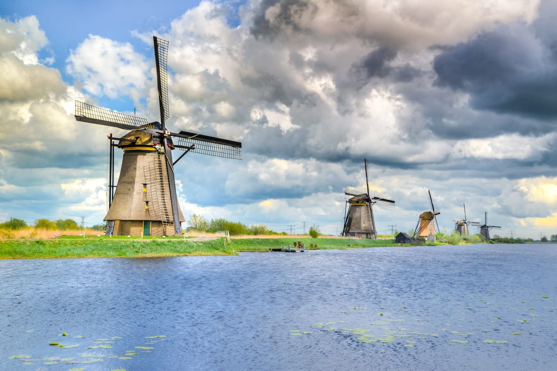 Netherlands wines and spirits