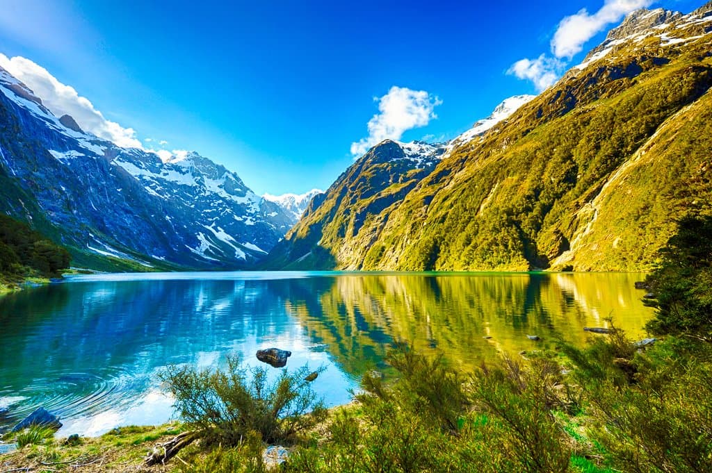 New Zealand wines and spirits
