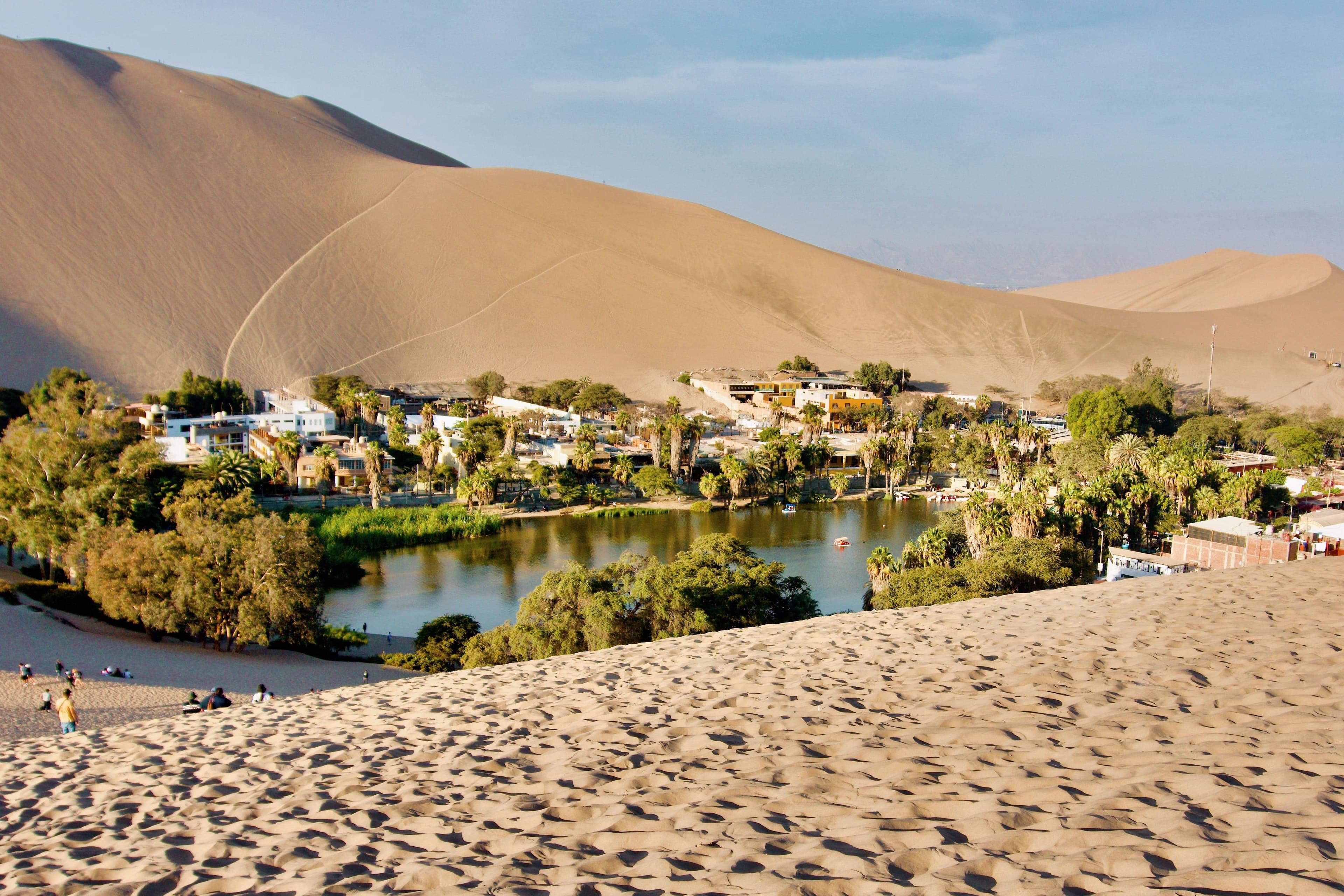 Peru wines and spirits