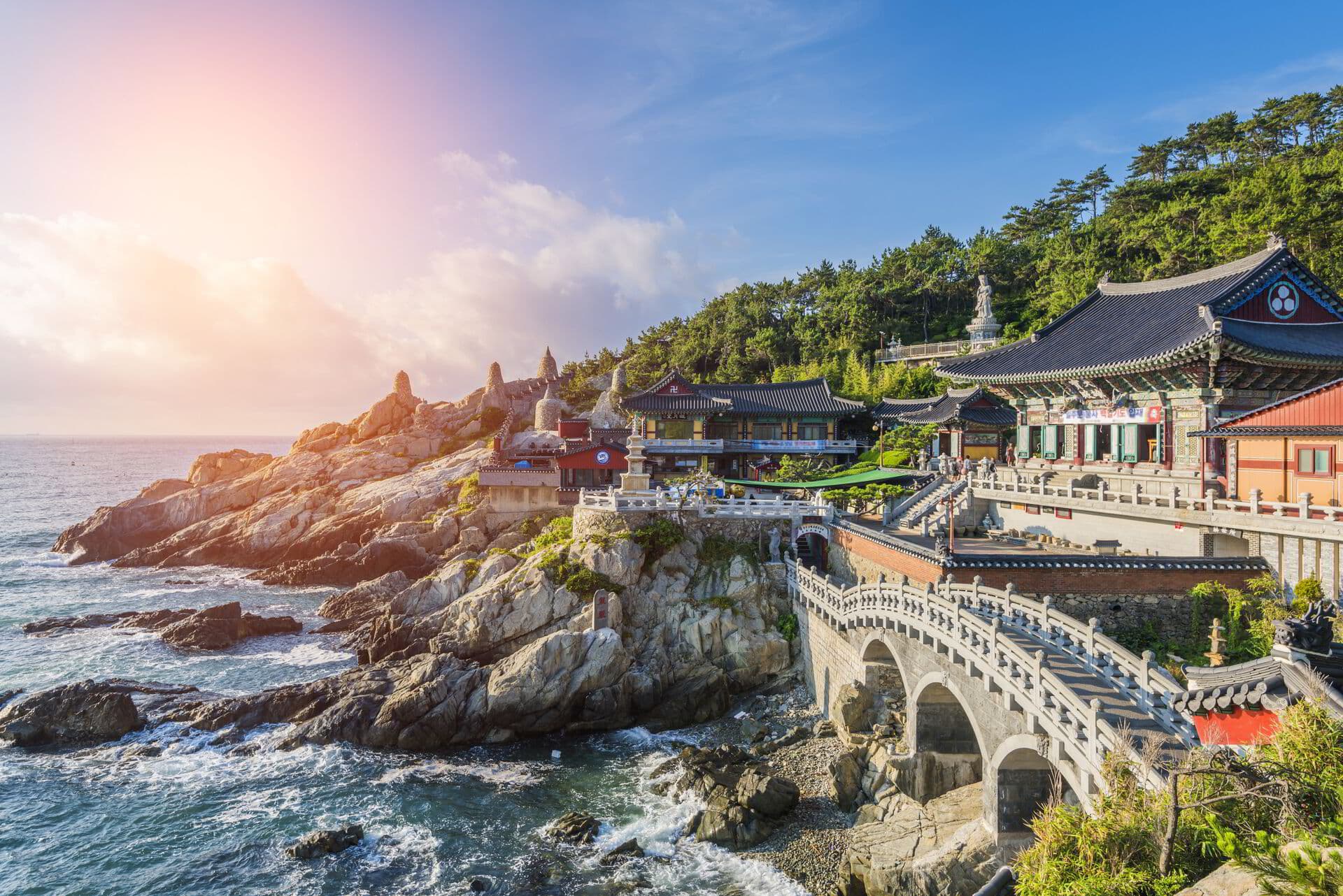 South Korea wines and spirits