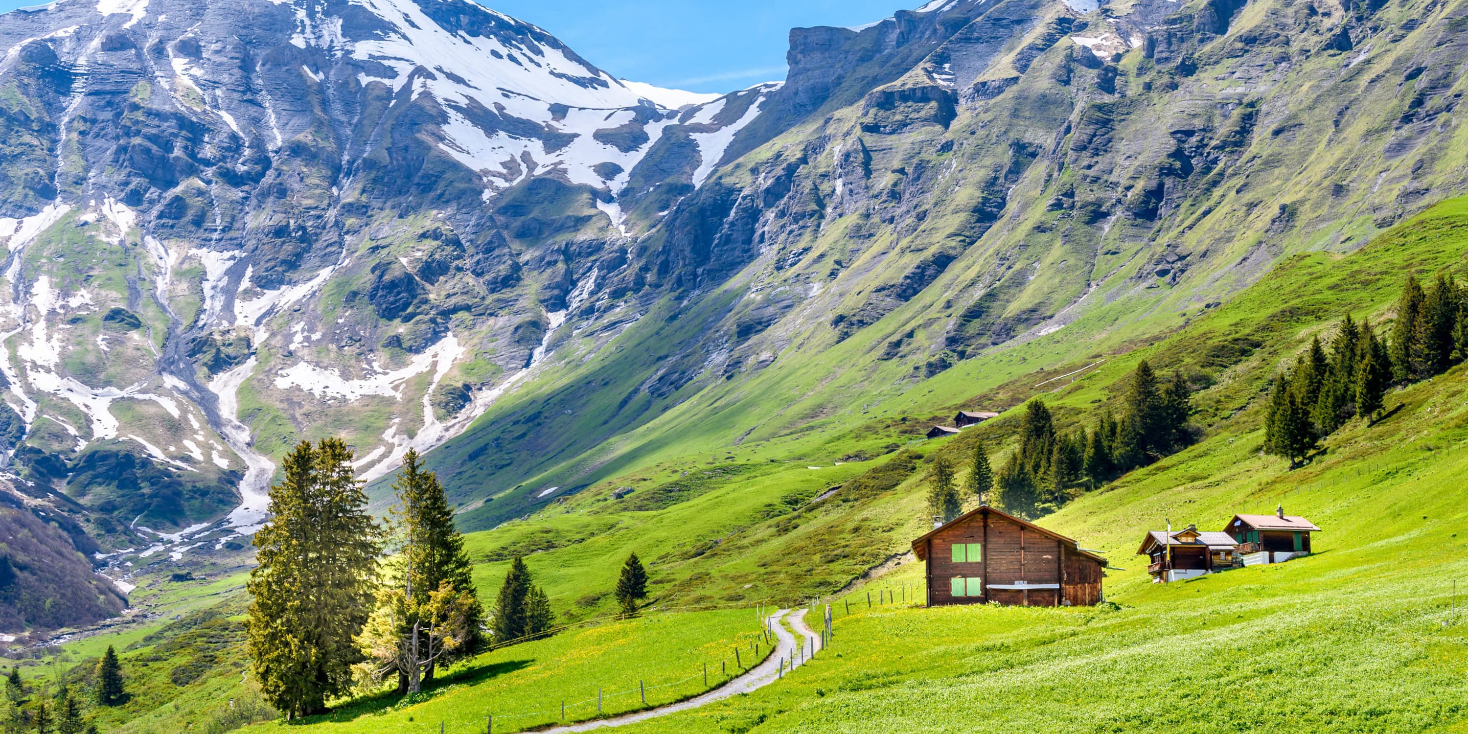 Switzerland wines and spirits