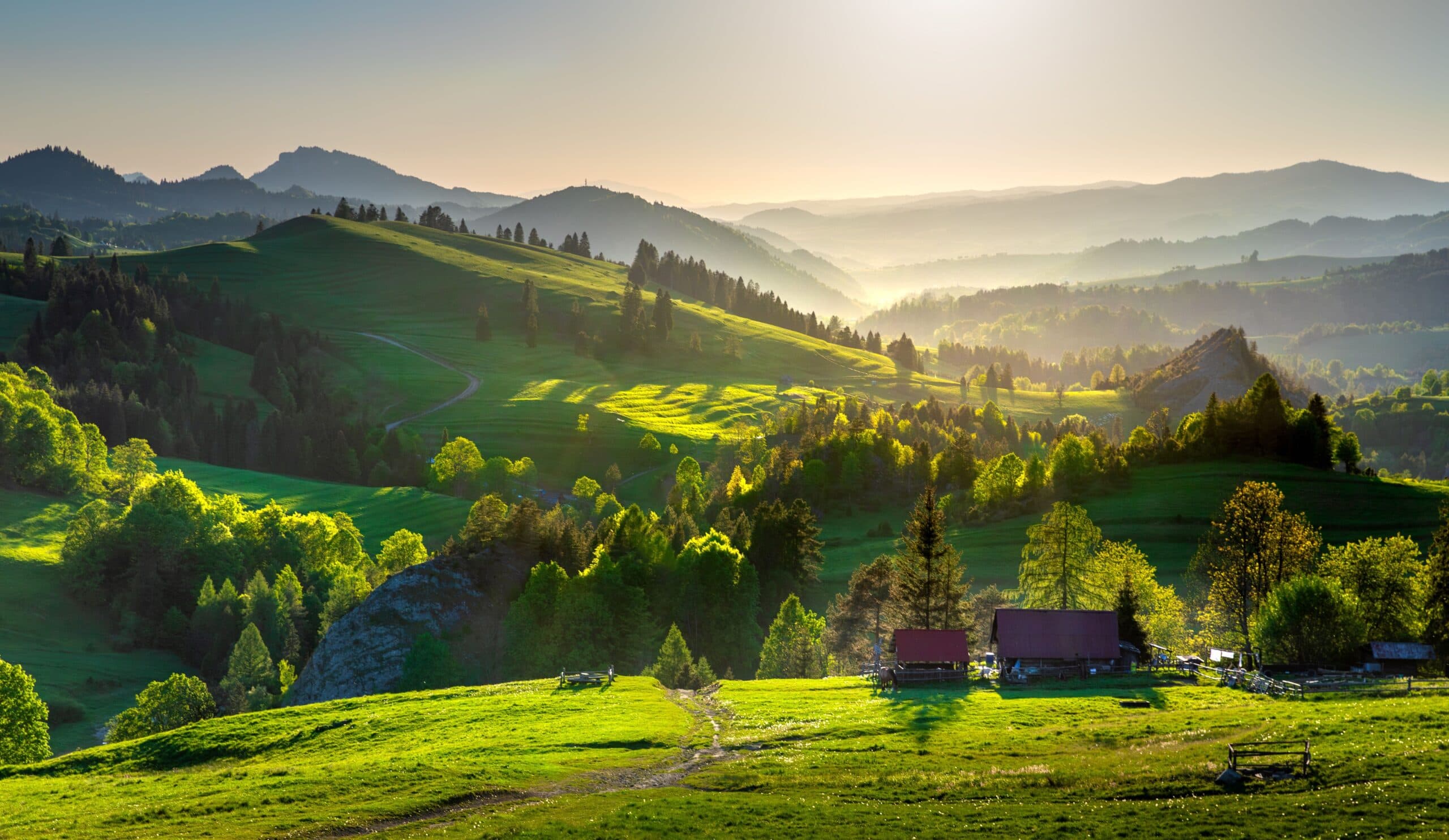 Poland wines and spirits