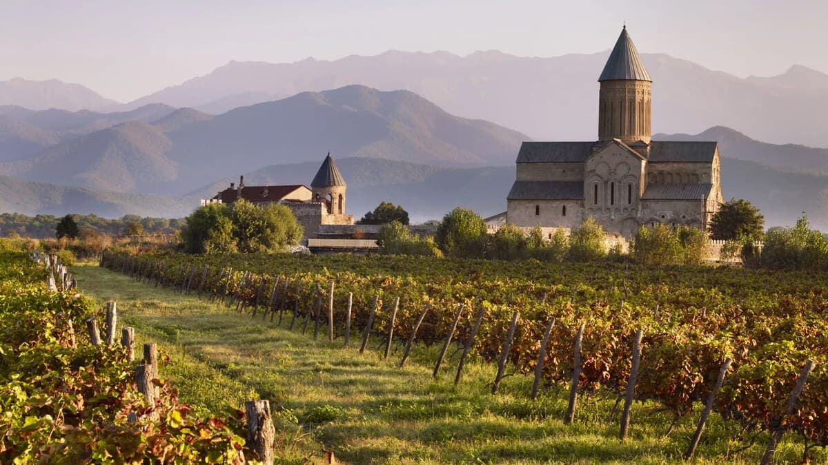 Georgia wines and spirits
