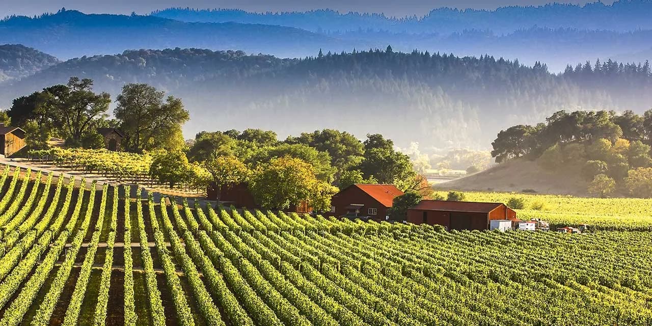 California