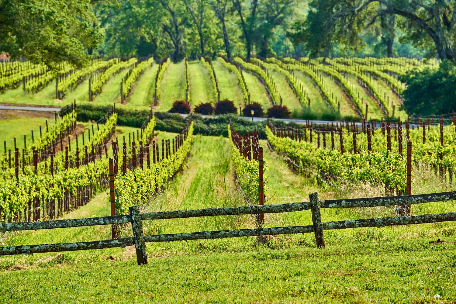 Kentucky
