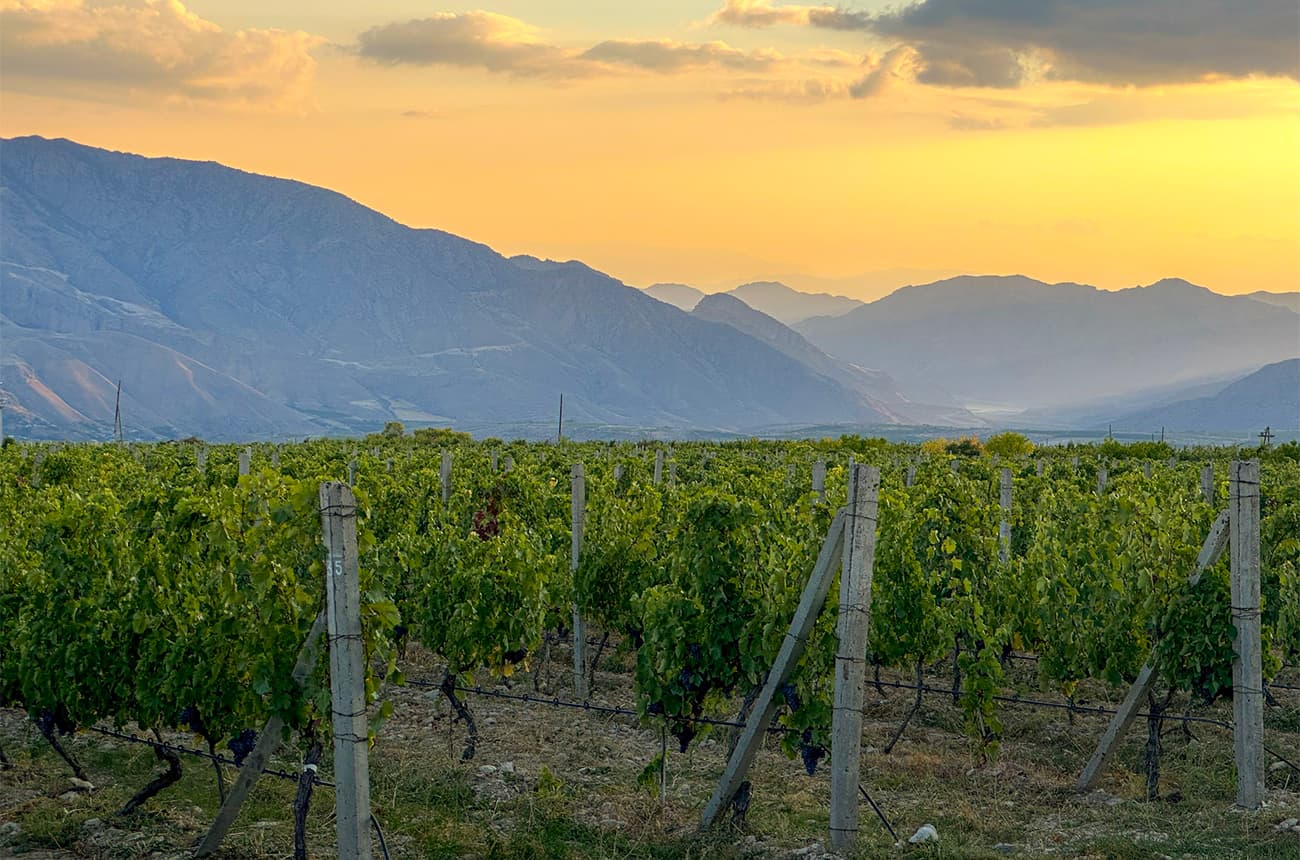 Ararat Valley wines and spirits