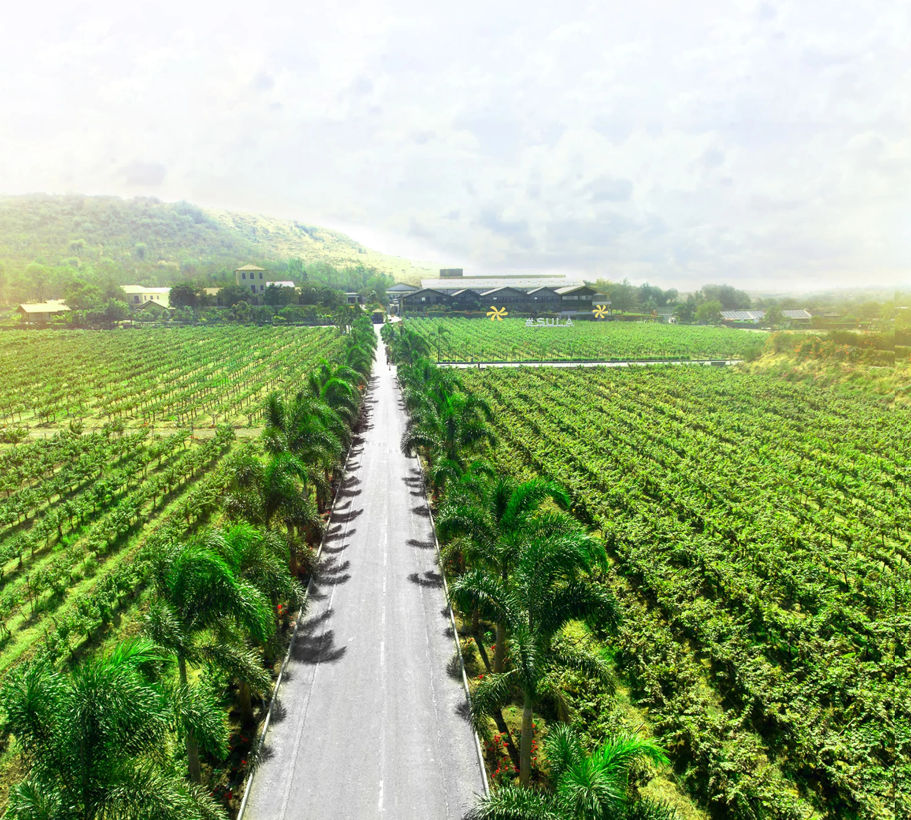 Goa wines and spirits