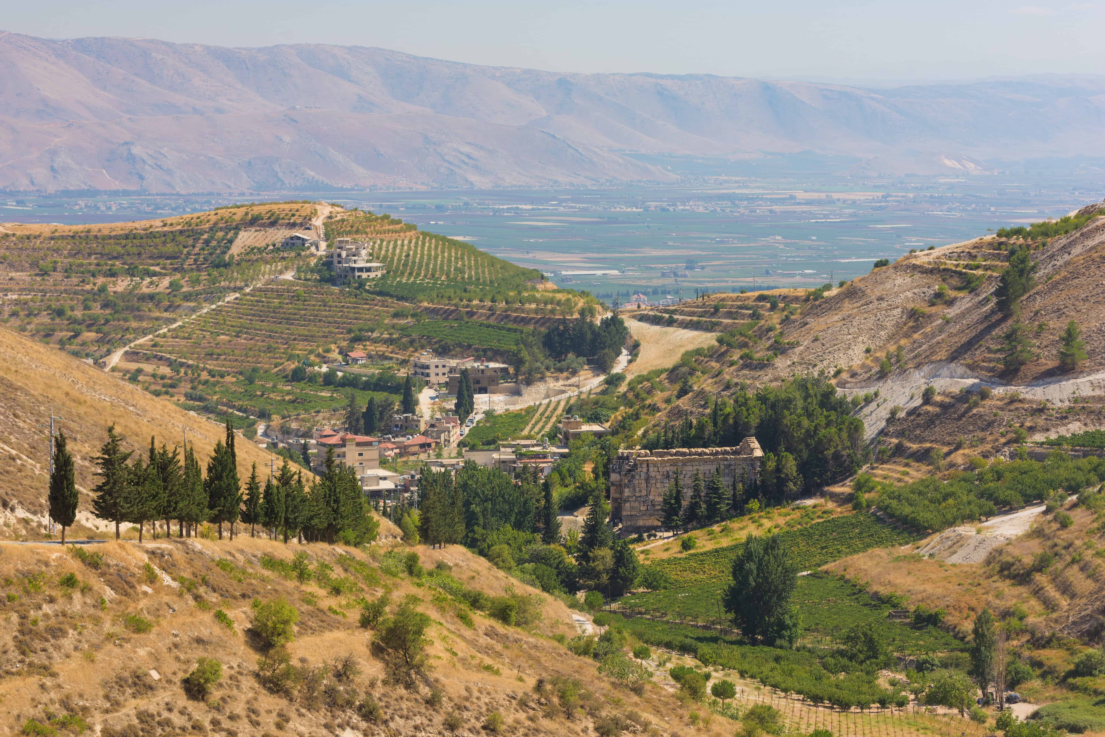 Bekaa Valley wines and spirits