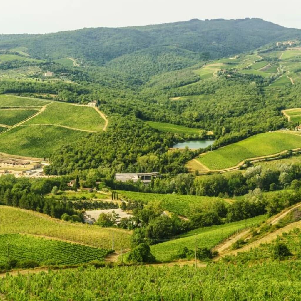 Macouba wines and spirits