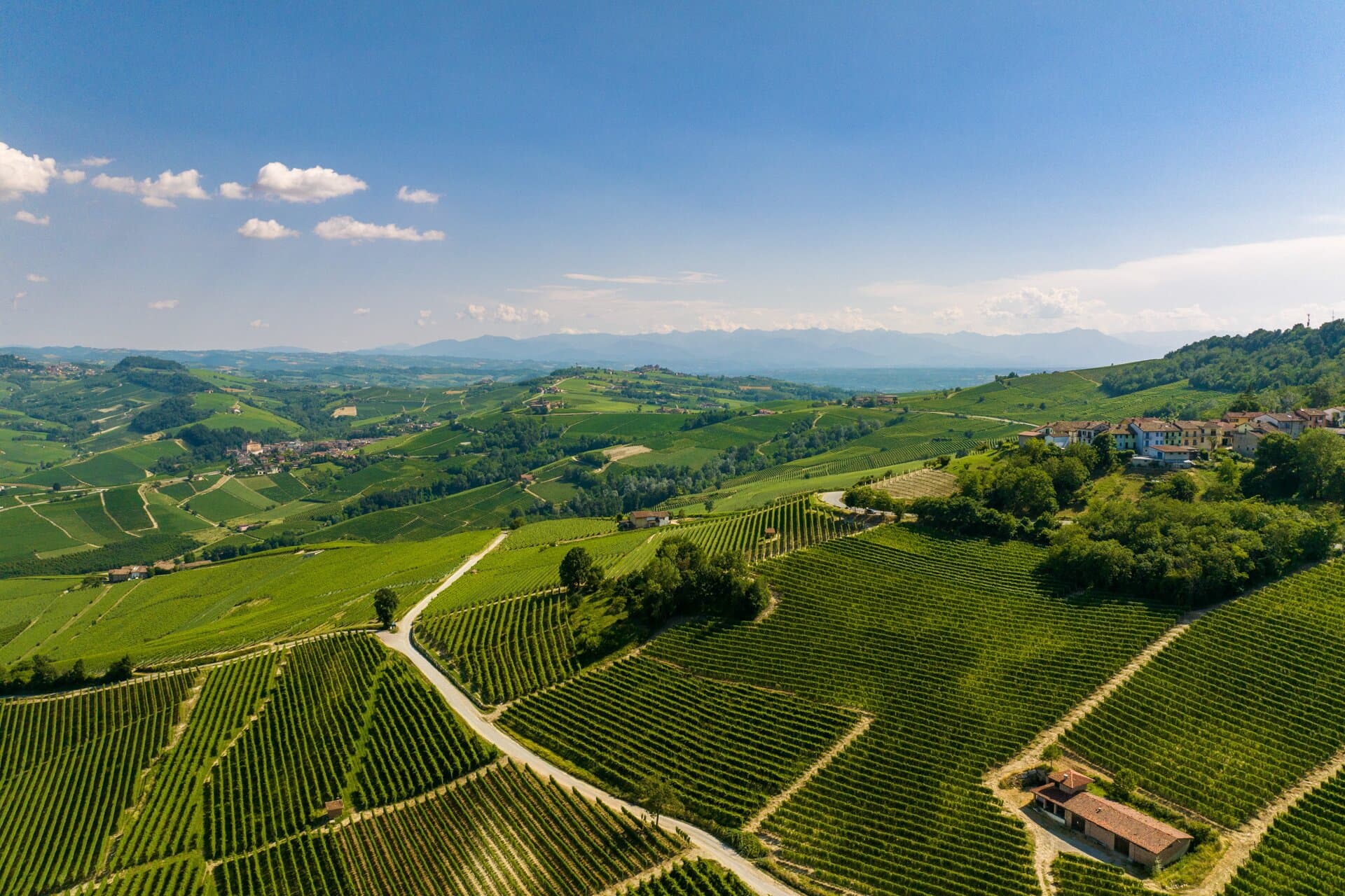 Venezuela wines and spirits