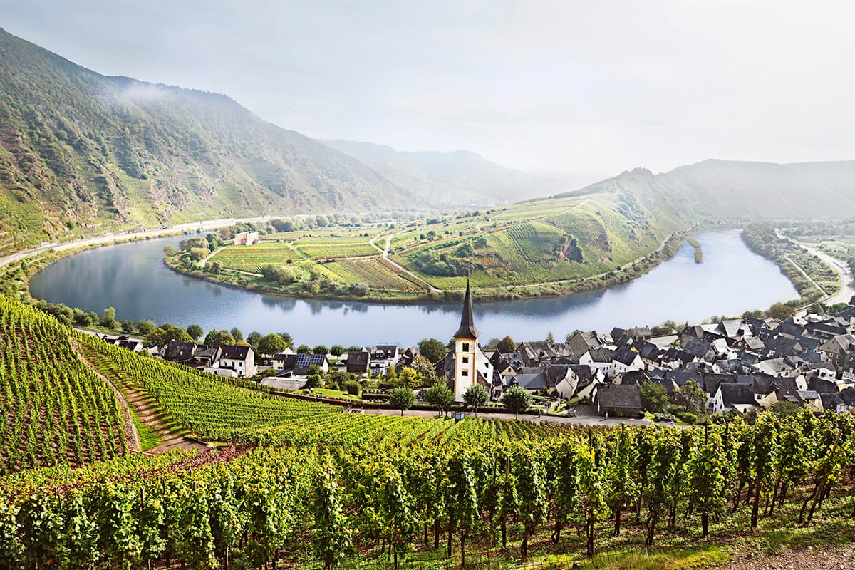 Mosel wines and spirits