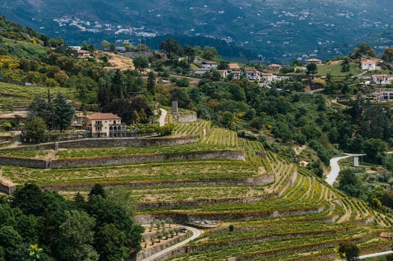 Porto wines and spirits